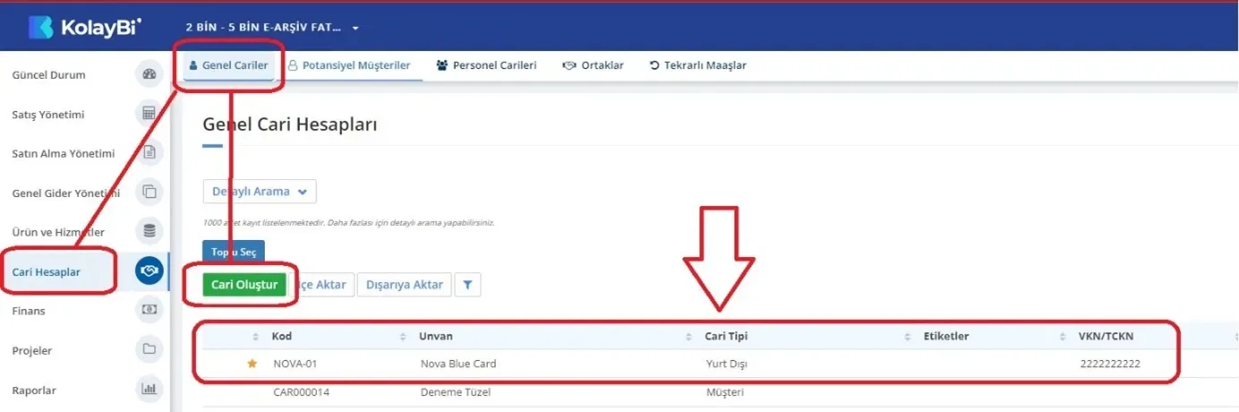 KolayBi Cari oluşturma ve e-fatura kesme ekranı