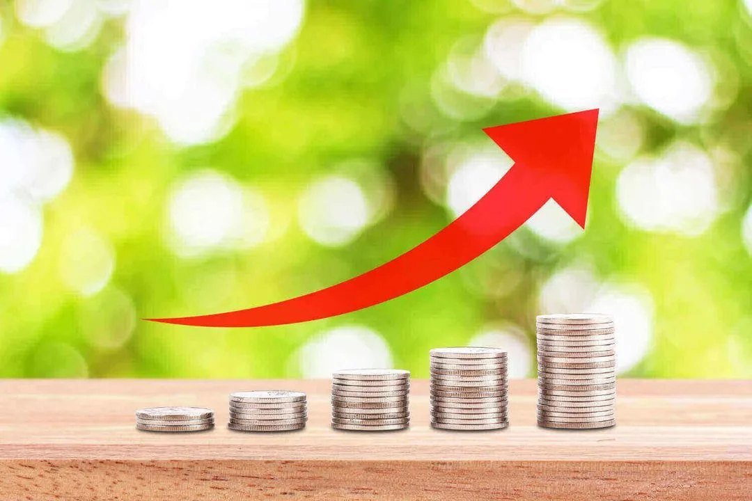 Brüt Kar Nedir? Brüt Kar Marjı Nasıl Hesaplanır?